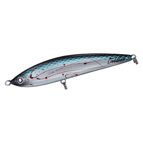 (JDM) Daiwa SALTIGA Cuddler 185F - No hooks