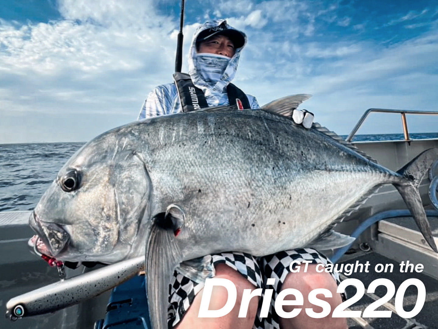 SOHO StickBait Dries220