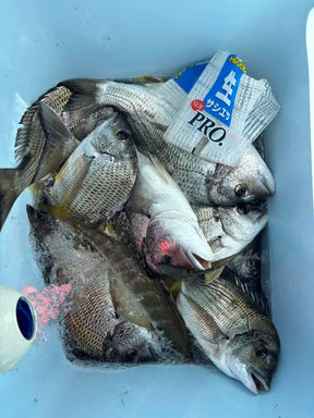 (in-store only)Marinated krill bait 腌制南极虾
