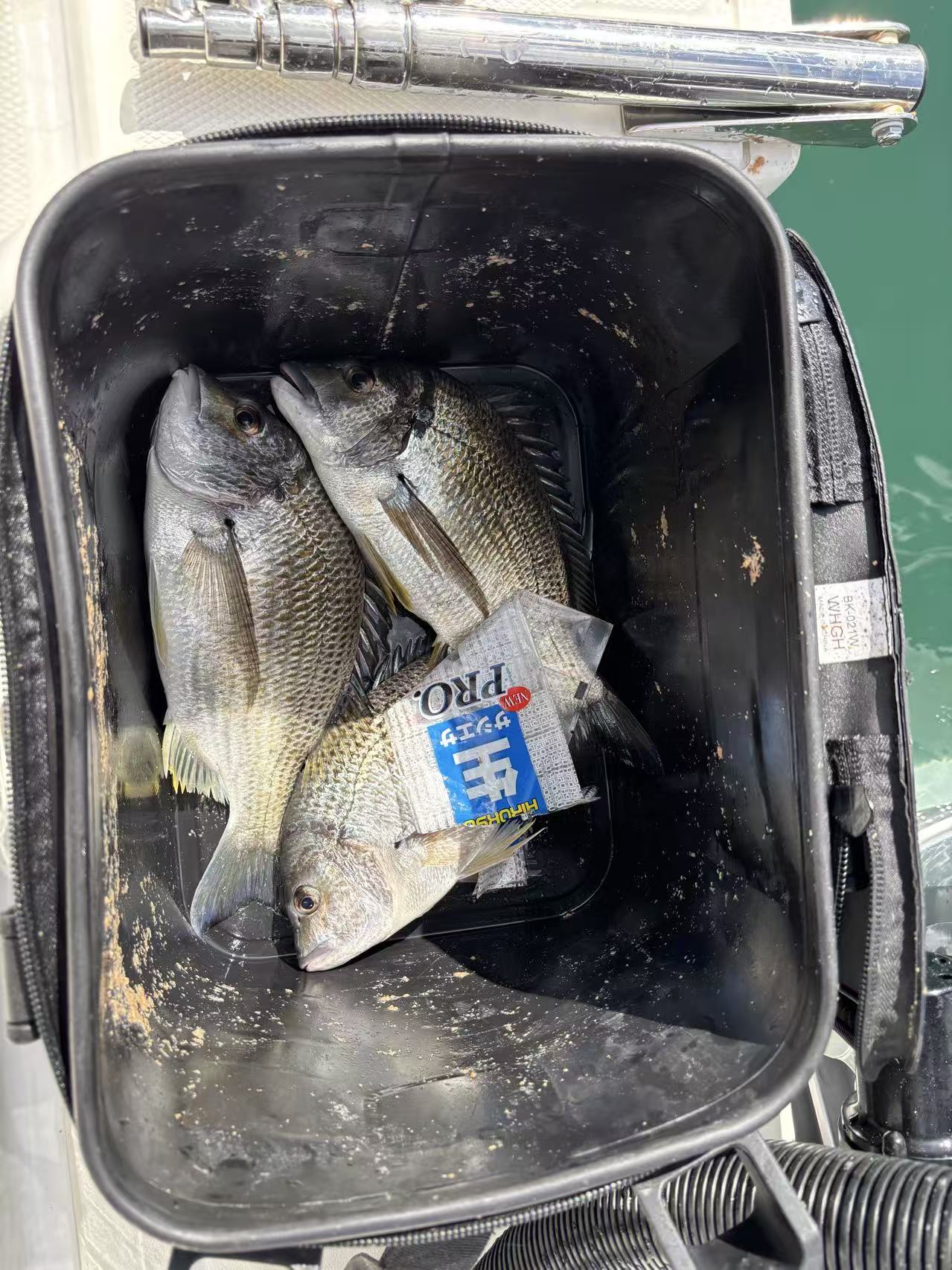 (in-store only)Marinated krill bait 腌制南极虾