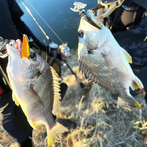 RUDIE'S BugBug CHINU 50mm