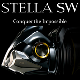 25 Shimano Stella SWD