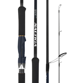 25 DAIWA SALTIGA LC