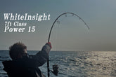 TRUTH JAPAN Whiteinsight 7415