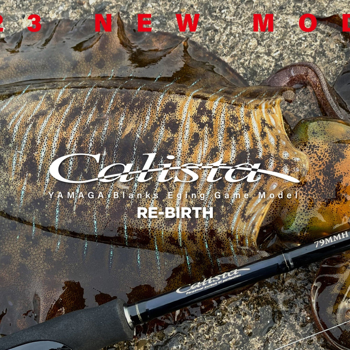 23 Yamaga Blanks Calista TZ NANO Squid Fishing Rod 82ML / AR