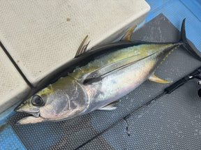 TRUTH JAPAN Trick Star 642