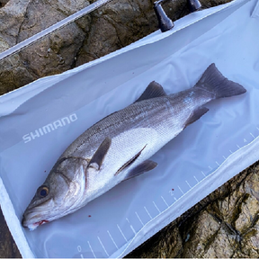 Shimano Compact Fish Holding Pool BA-027Y