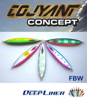 Cojyant Metal Jig FBW 800g